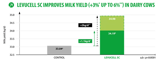Levucell SC mejora la producción de leche en vacas lecheras