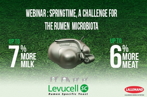 Webinar: Springtime, a challenge for the rumen microbiota