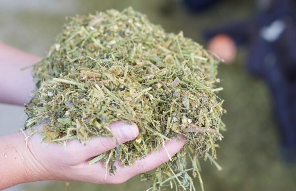 Improve the nutritional value of conserved forage