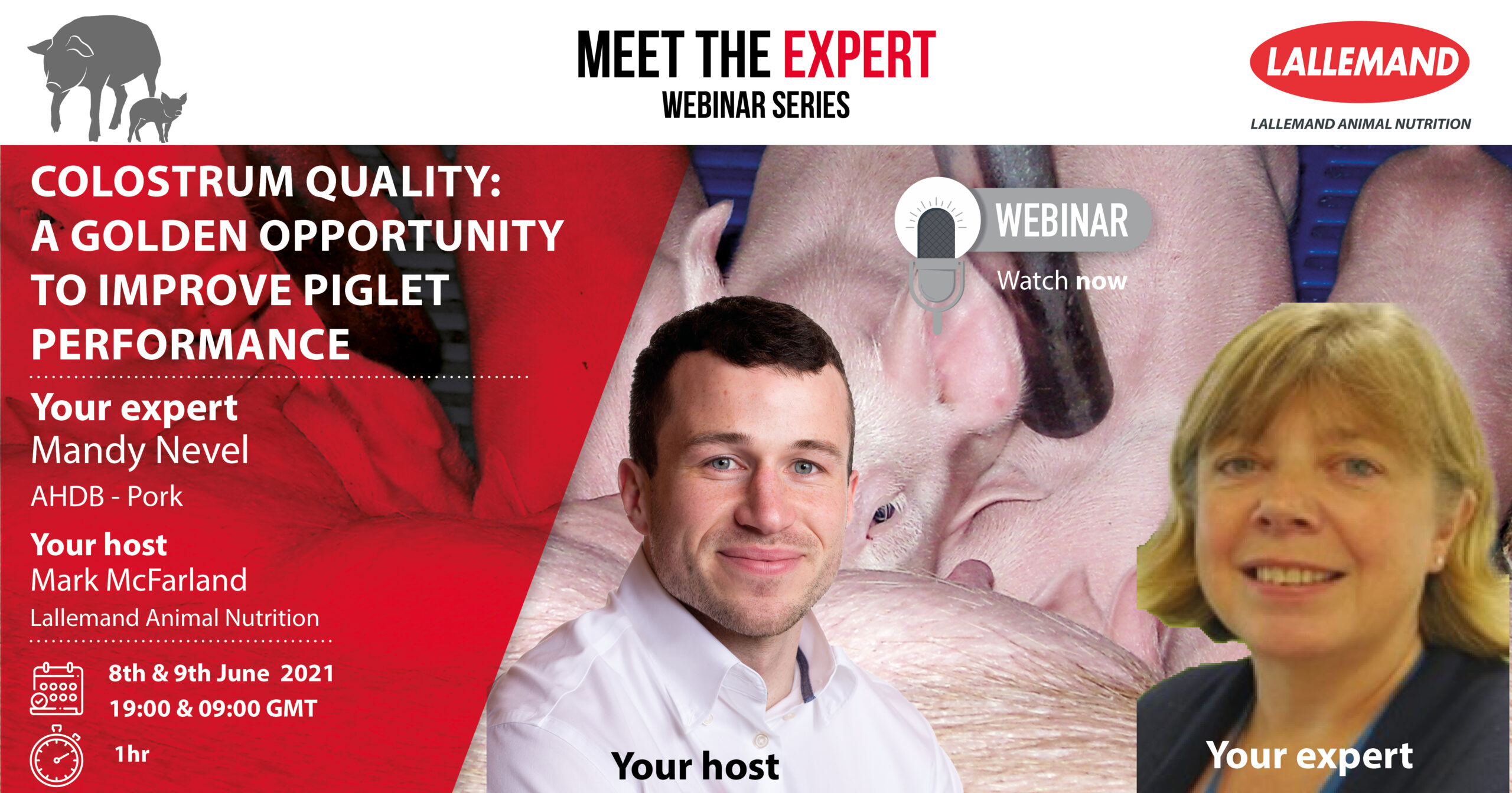 Webinar: Colostrum quality: a golden opportunity to improve piglet performance