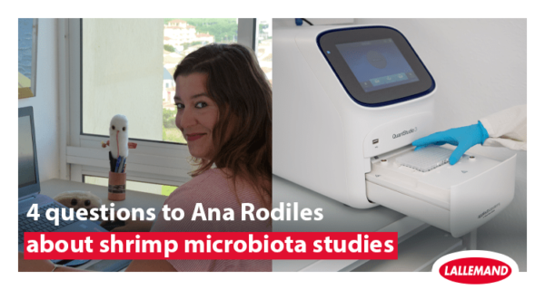 4 questions to Ana Rodiles about shrimp microbiota studies
