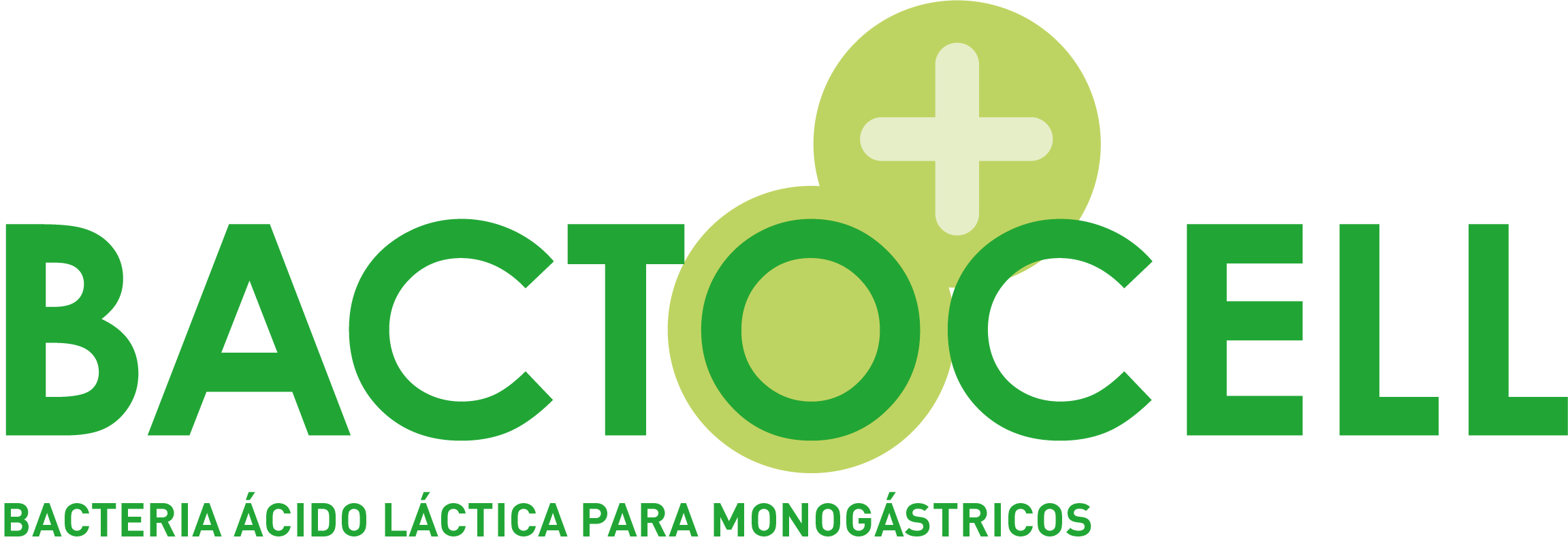 Bacteria probiótica ácido-láctica para monogástricos: BACTOCELL 