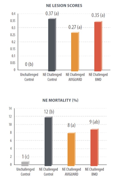Effect of the different treatments on the incidence of NE