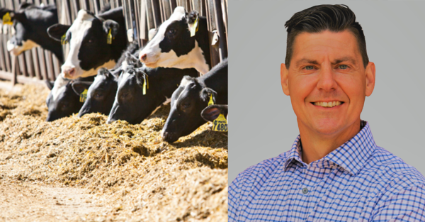 Expert interview: Feeding dairy cows in 2023 and beyond