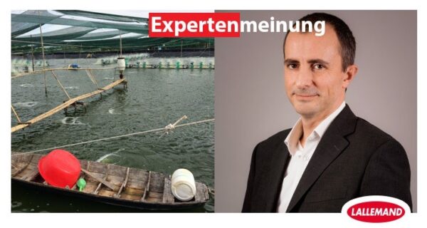 Expertenmeinung &#8211; Stéphane Ralite: Management mikrobieller Ökosysteme in Aquakulturen