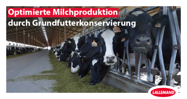 Optimierte Milchproduktion  durch Grundfutterkonservierung
