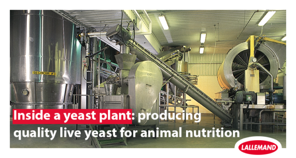 Inside a yeast plant: producing quality live yeast for animal nutrition