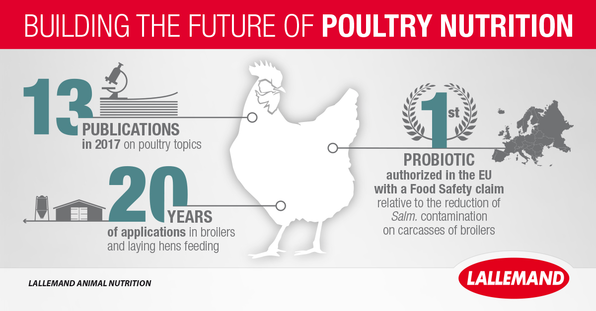 new research topics in poultry nutrition
