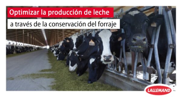 Optimizar la producción de leche a través de la conservación del forraje