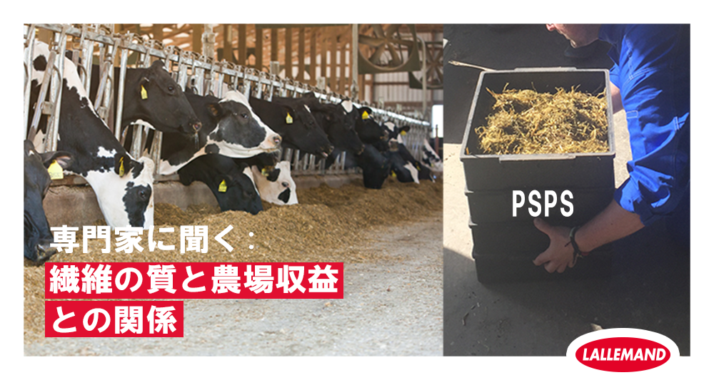 専門家に聞く：繊維の質と農場収益との関係 | Lallemand Animal Nutrition