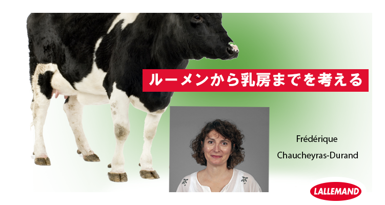 専門家に聞く：繊維の質と農場収益との関係 | Lallemand Animal Nutrition