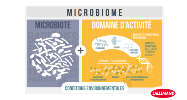 Comment étudier le microbiome ?