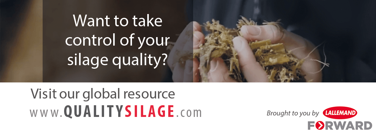 quality silage banner