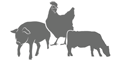 icônes porc volaille vache laitière