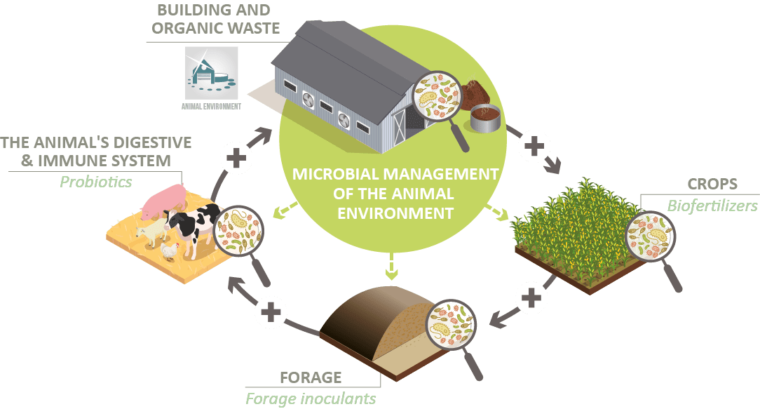 Microbial management of farms environment ecosystems