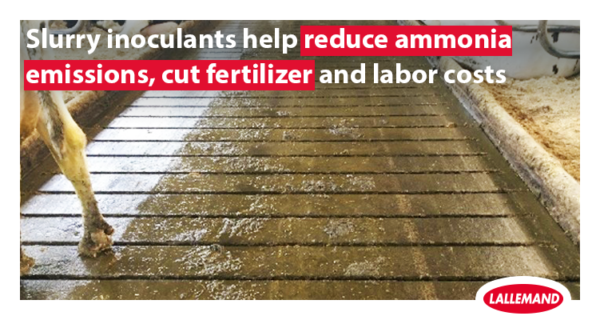 Slurry inoculants help reduce ammonia emissions, cut fertilizer and labor costs