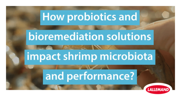 OMICS research can help answering shrimp farmers practical questions