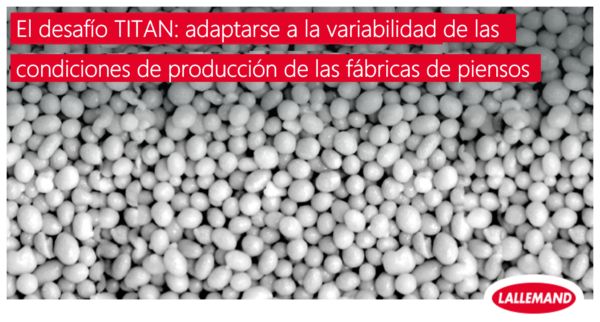 El desafío TITAN: adaptarse a la variabilidad de las condiciones de producción de las fábricas de piensos