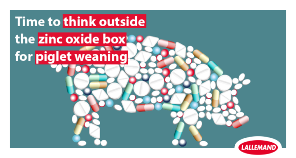 Time to think outside the ZINC OXIDE box for piglet weaning!