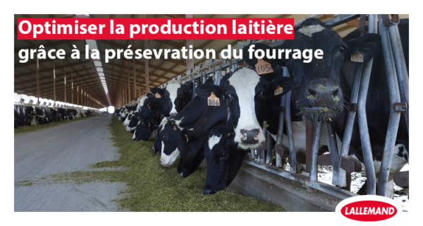 Optimiser la production laitière grâce à la préservation du fourrage