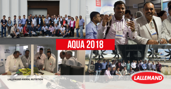 AQUA2018 魚の免疫と抗酸化バランスを健康に維持する為の、機能性飼料