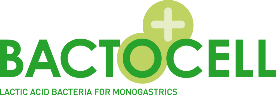 Probiotic lactic acid bacteria for monogastrics: BACTOCELL