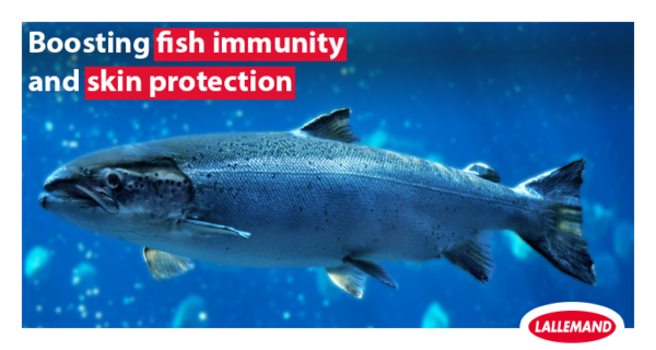 Boosting fish immunity and skin protection