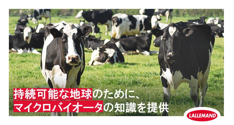 専門家に聞く：繊維の質と農場収益との関係 | Lallemand Animal