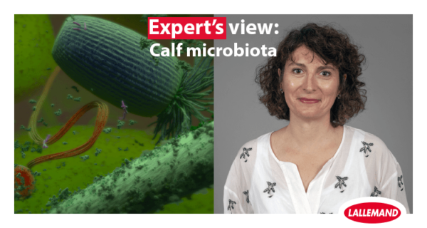 Expert view: Dr. Frédérique Chaucheyras-Durand on the birth and evolution of a ruminant microbiota