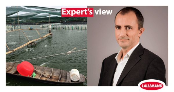 Expert's view - Stéphane Ralite: Microbial ecosystems management in aquaculture