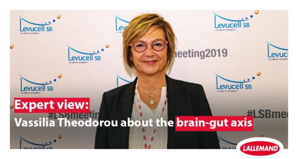 Expert's view: Vassilia Theodorou about the brain-gut axis