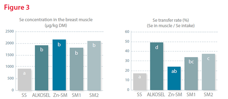Se concentration (left) and transfer rate into the breast muscle (right) of different organic Se sources (fed at 0.2 mg Se per kg complete feed) after 14 days supplementation to broiler chicks (p<0.001).