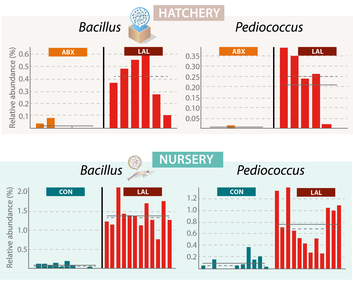 Relative abundance of Bacillus and Pediococcus in ABX and LAL treatments in hatchery water and nursery shrimp gut microbiota