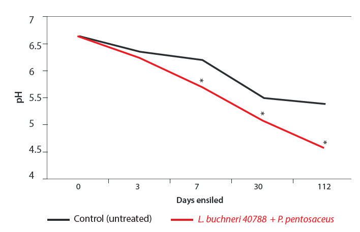 figure of the Effect of Pediococcus pentosaceus 12455 and Lactobacillus buchneri 40788 inoculant on bermudagrass silage acidification
