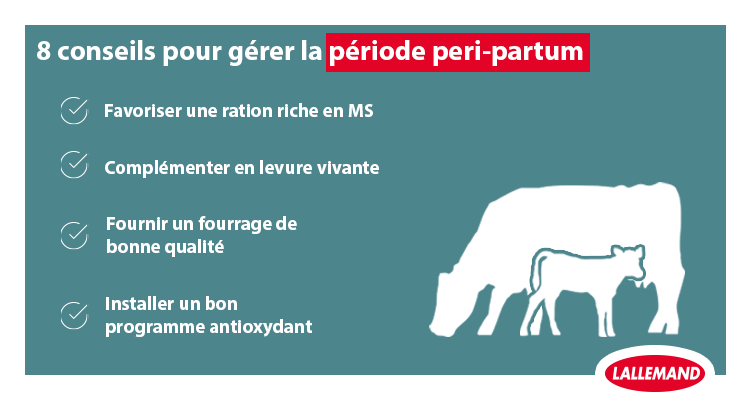 La période post-partum