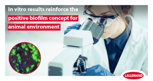 In vitro results reinforce the positive biofilm concept for animal environment