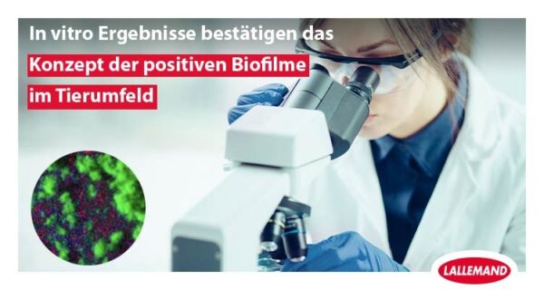 In-vitro-Ergebnisse bestätigen das Konzept der positiven Biofilme für das Tierumfeld