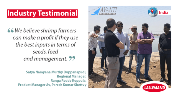Industry testimonial: “We believe shrimp farmers can make a profit if they use the best inputs in terms of seeds, feed and management“