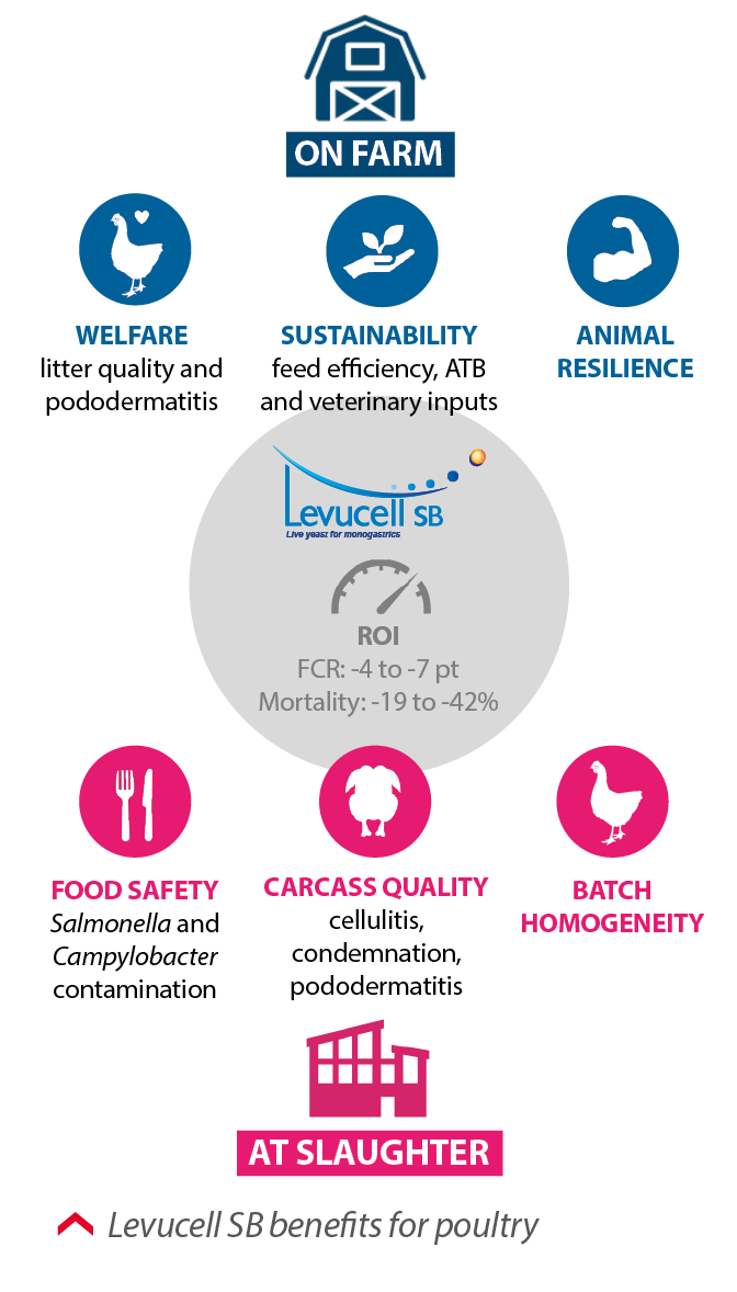levucell sb benefits for poultry