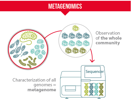 what is metagenomics