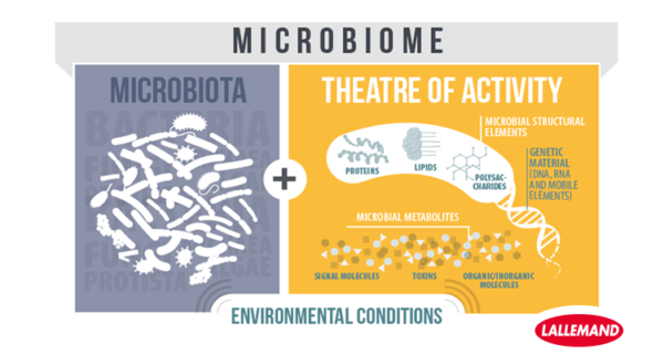 Microbiota or microbiome?