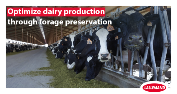 Optimize dairy production through forage preservation