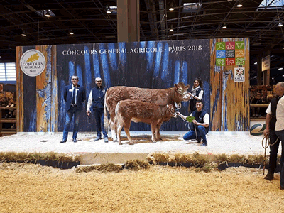 Vache Haude et génisse Nina recevant le prix au salon de l'agriculture 2018