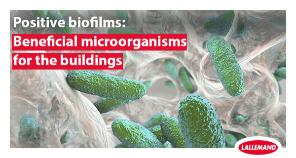 Positive biofilms: beneficial microorganisms for the buildings