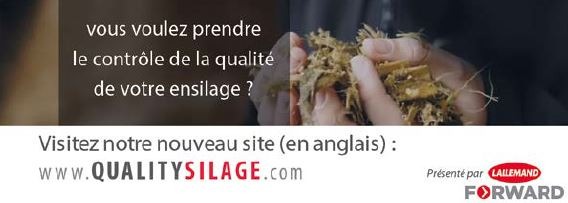 quality silage (site ensilage)