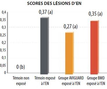 score des lésions d'Entérite nécrotique (volailles)