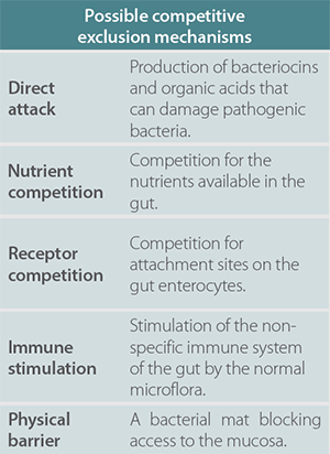 table representing the Possible competitive exclusion mechanisms