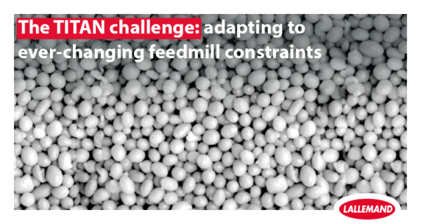 The TITAN challenge: adapting to ever-changing feedmill constraints