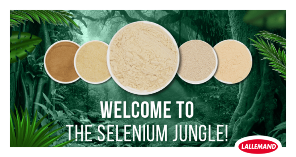 Welcome to the organic selenium jungle!