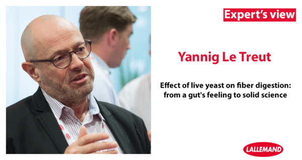 Expert's view - Yannig Le Treut: Effect of live yeast on fiber digestion: from a gut's feeling to solid science